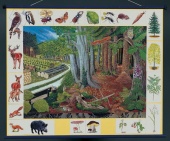 Природное сообщество леса. Магнитный плакат