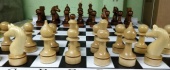 Комплект для обучения шахматам