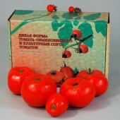 Набор "Дикая форма и культурные сорта томатов"