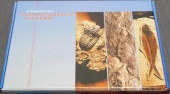 Коллекция "Палеонтологическая" (форма сохранности ископаемых растений и животных)